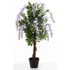 Drzewko Dekoracyjne Wisteria