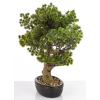 Sztuczne Drzewko Bonsai