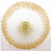 Patera