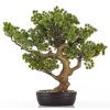 Sztuczne Drzewko Bonsai