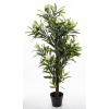 Roślina Dekoracyjna Oleander
