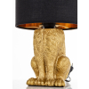 Lampa
