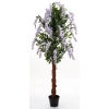 Drzewko Dekoracyjne Wisteria
