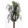 Drzewko Dekoracyjne Wisteria