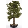 Sztuczne Drzewko Bonsai