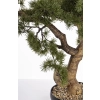 Sztuczne Drzewko Bonsai