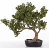 Sztuczne Drzewko Bonsai