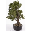 Sztuczne Drzewko Bonsai