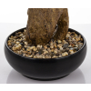 Sztuczne Drzewko Bonsai