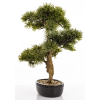 Sztuczne Drzewko Bonsai