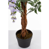 Drzewko Dekoracyjne Wisteria