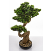 Sztuczne Drzewko Bonsai