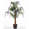 Drzewko Dekoracyjne Wisteria