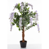 Drzewko Dekoracyjne Wisteria