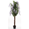 Drzewko Dekoracyjne Wisteria