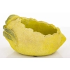 Osłonka