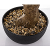 Sztuczne Drzewko Bonsai