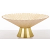 Patera