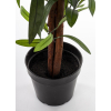 Roślina Dekoracyjna Oleander