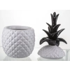 Pojemnik Ananas