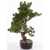 Sztuczne Drzewko Bonsai
