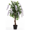 Drzewko Dekoracyjne Wisteria