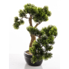 Sztuczne Drzewko Bonsai