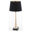 Lampa Iicz.