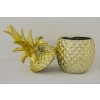 Pojemnik Ananas