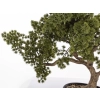 Sztuczne Drzewko Bonsai