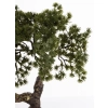Sztuczne Drzewko Bonsai