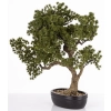 Sztuczne Drzewko Bonsai