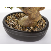 Sztuczne Drzewko Bonsai