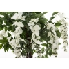 Drzewko Dekoracyjne Wisteria