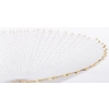 Patera