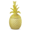 Pojemnik Ananas
