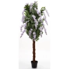 Drzewko Dekoracyjne Wisteria