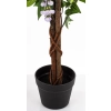 Drzewko Dekoracyjne Wisteria
