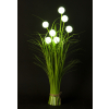 Roslina Dekoracyjna Led