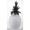 Pojemnik Ananas