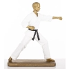 Figurka Mężczyzna Karateka