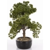 Sztuczne Drzewko Bonsai