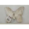 Motyl-Prom.