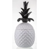 Pojemnik Ananas