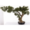 Sztuczne Drzewko Bonsai