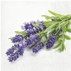 Pl Serwetki Lavender Bunch
