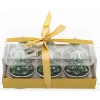 Świeczka Tealight Kpl. 6 Szt.