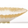 Patera