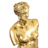 Figura Venus