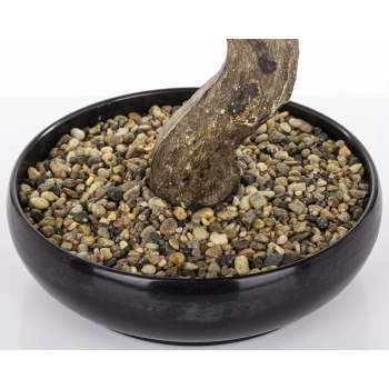 Sztuczne Drzewko Bonsai